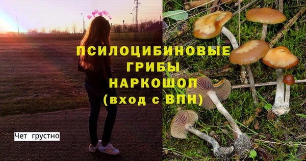 прущая мука Нижний Тагил