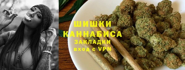 крисы Каменногорск