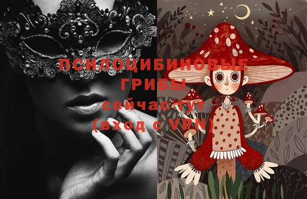 марки lsd Каменка