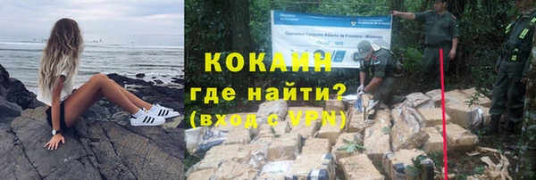 крисы Каменногорск