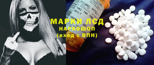 крисы Каменногорск